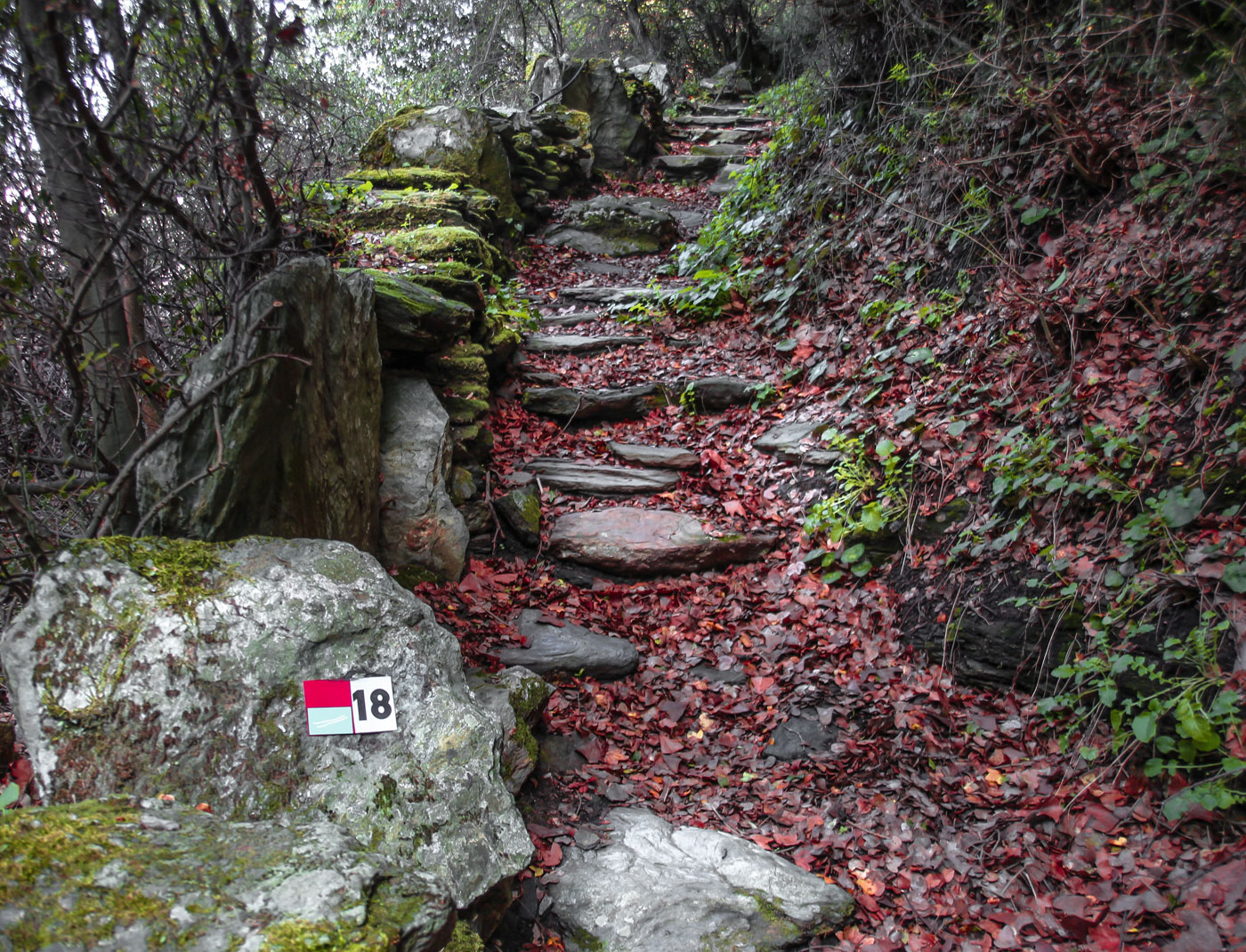 Τα Μονοπάτια της Άνδρου